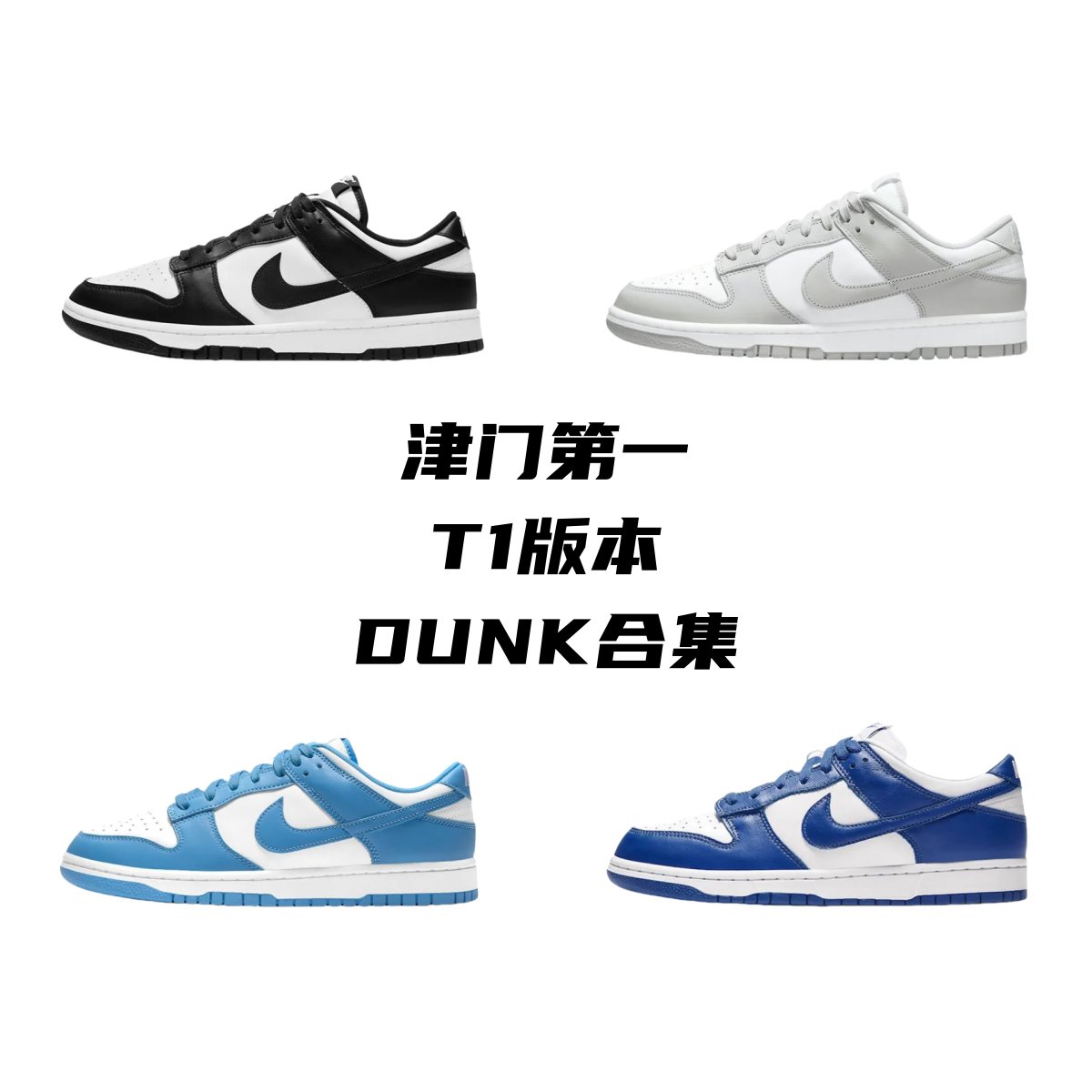 Dunk T1-Batch