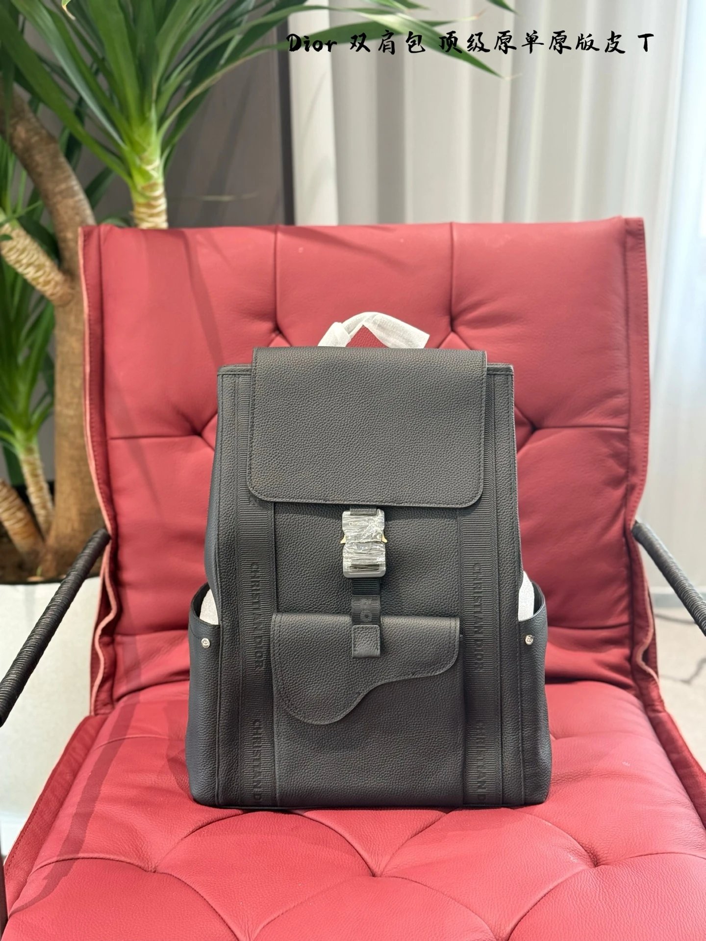 Dior Handbags Backpack