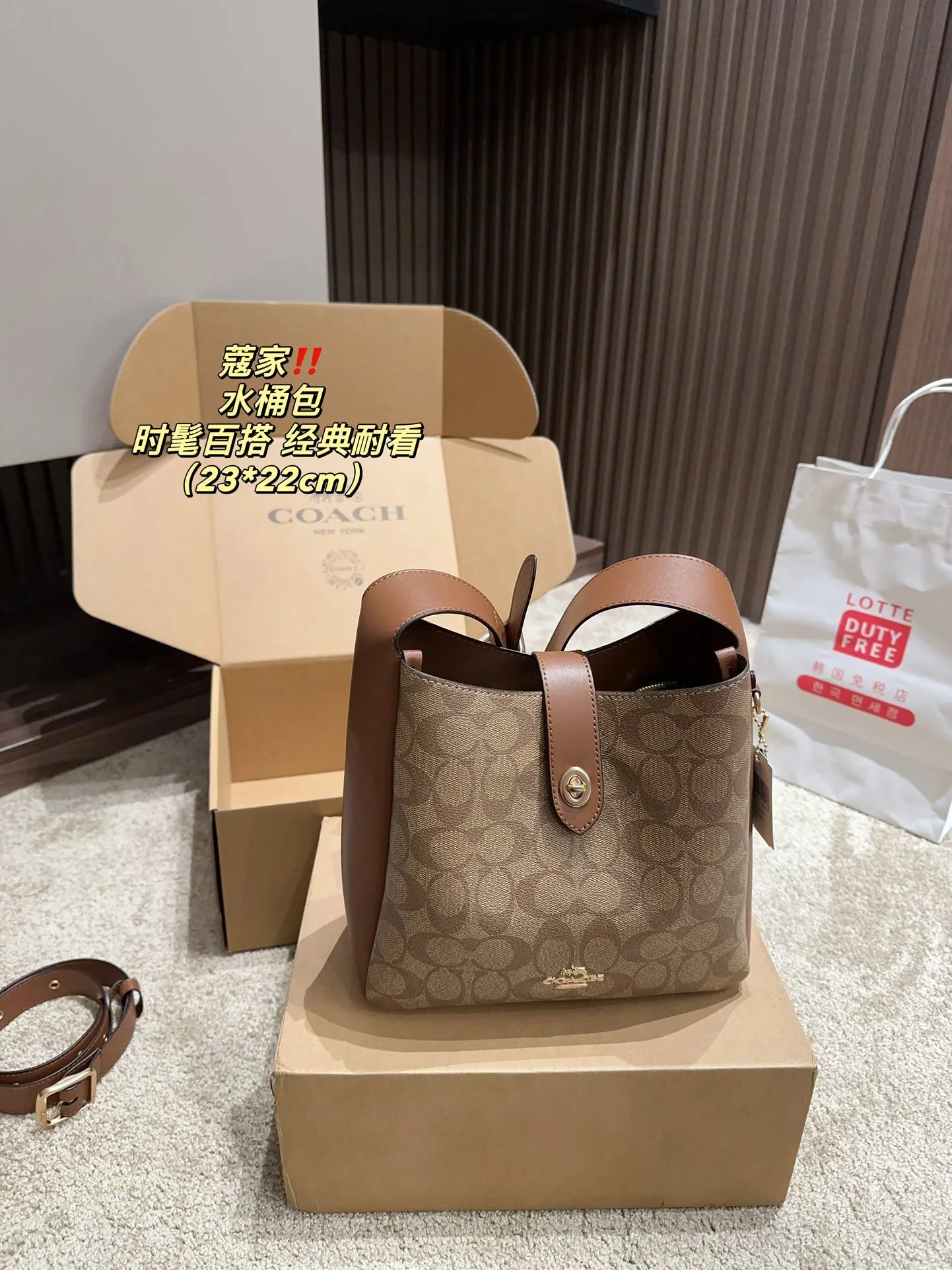 Coach Handbags Bucket bag 23*22
