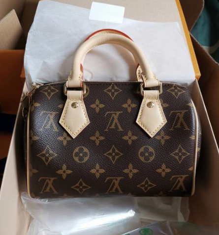 Louis Vuitton speed33 Handbags