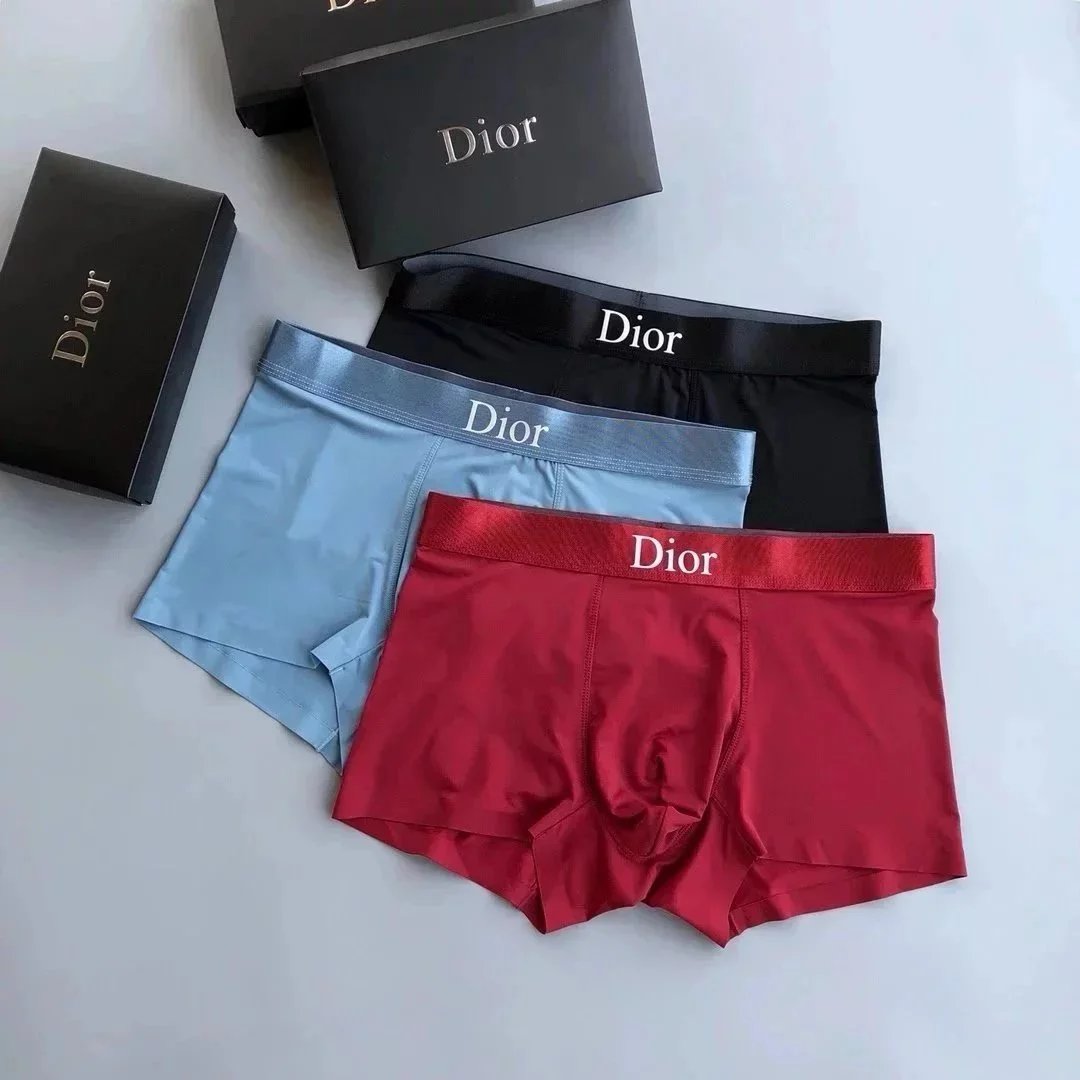 Dior Underwear 3 Pieces